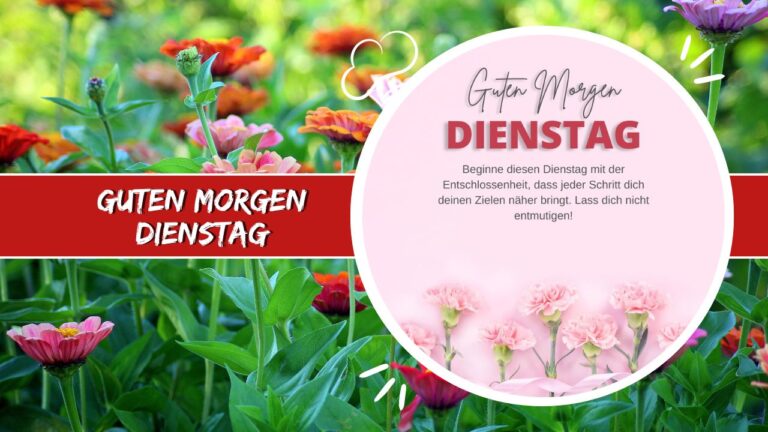 150+ Guten Dienstag Sprüche, Grüße und Wünsche