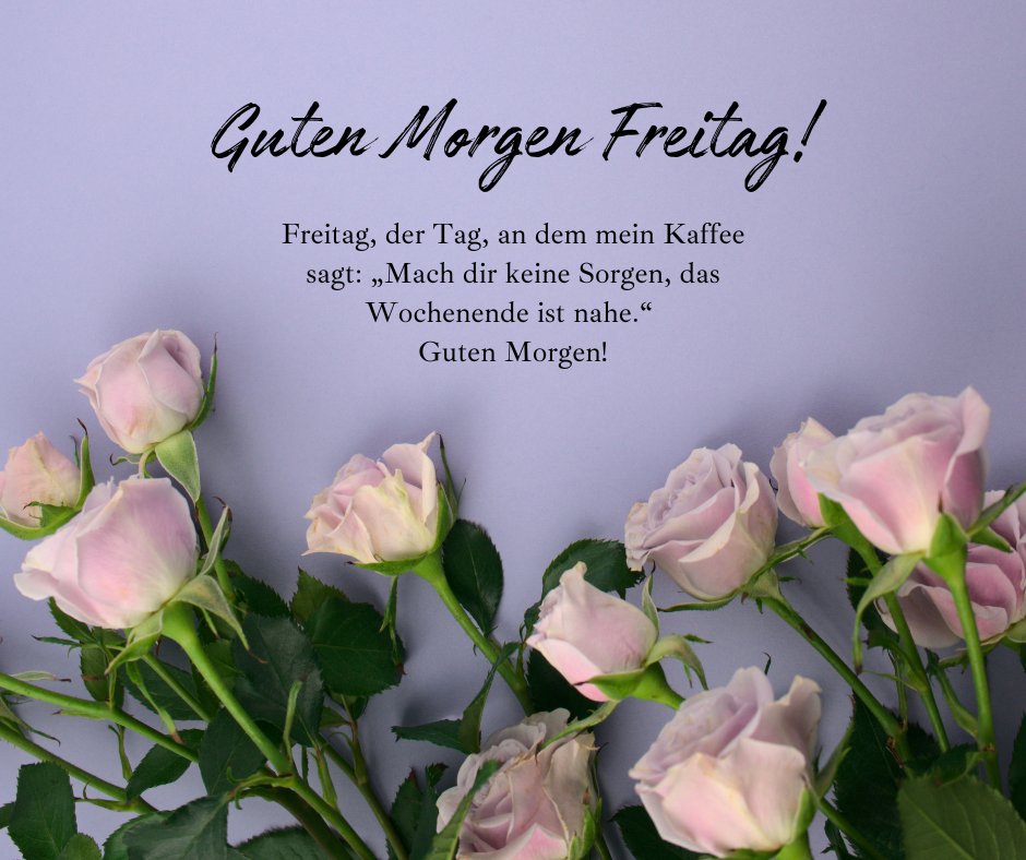 Guten Morgen Freitag: Lustige Sprüche präsentiert auf einem Bild mit zarten rosa Rosen und einem humorvollen Text, der die Gelassenheit des Freitags betont.