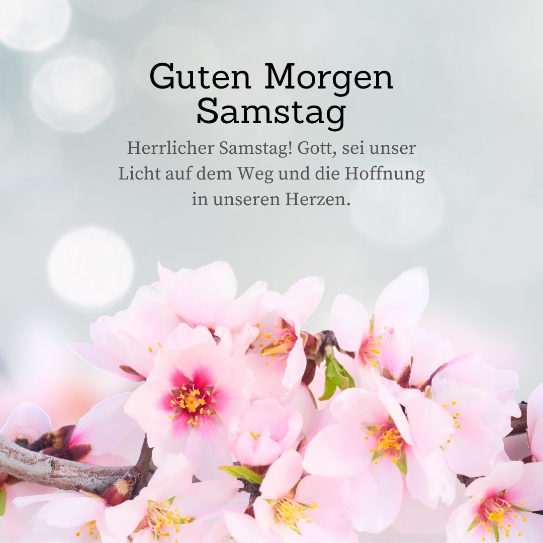 Guten Morgen Samstag: Gebete für den Tag mit einem inspirierenden Spruch über einen Hintergrund von zarten rosa Kirschblüten.