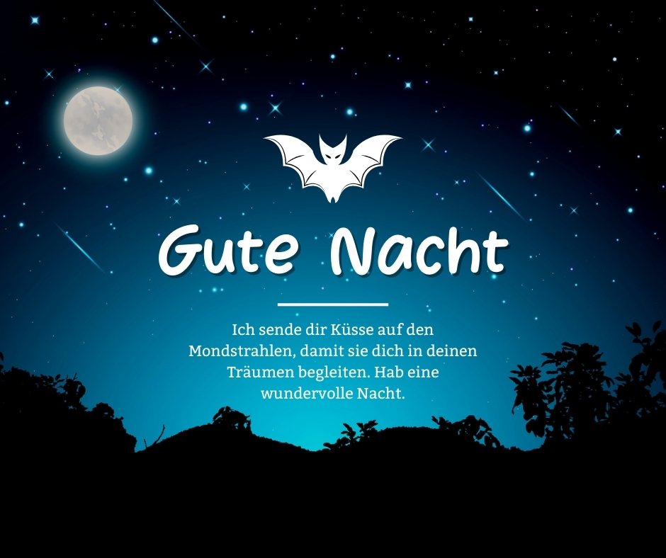 Liebevolle Gute Nacht Grüße, Mond und Fledermaus über sternenklarem Himmel, begleitet von einer liebevollen Nachricht für die Nacht.