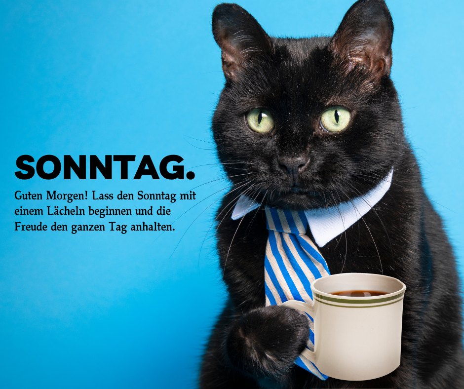 Ein charmantes Bild eines schwarzen Katers, der eine Krawatte trägt und eine Kaffeetasse hält, vor einem lebendigen blauen Hintergrund. Über dem Bild steht "SONNTAG." und darunter der Text "Guten Morgen! Lass den Sonntag mit einem Lächeln beginnen und die Freude den ganzen Tag anhalten." Dieses Bild verbindet Humor mit Motivation, ideal für Sonntagssprüche guten Morgen.