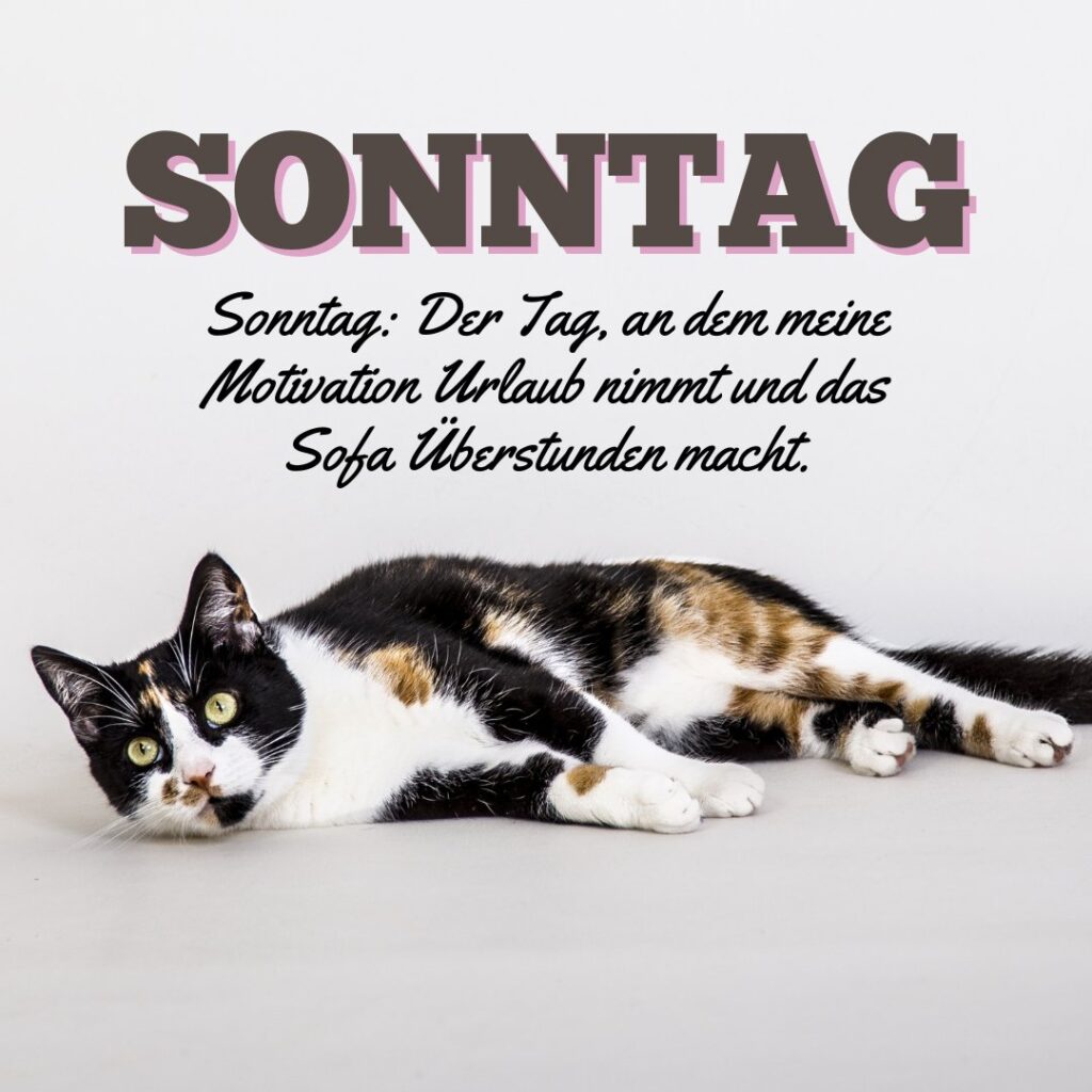120+ Sonnige Sonntagssprüche Starte fröhlich in den Tag