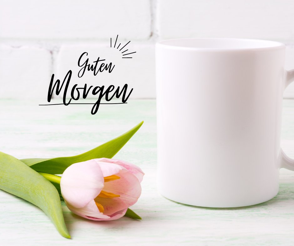 Einen Schönen Guten Morgen Bilder mit einer weißen Tasse und einer rosa Tulpe auf einem hellen Holztisch, perfekt für einen frischen Start in den Tag.
