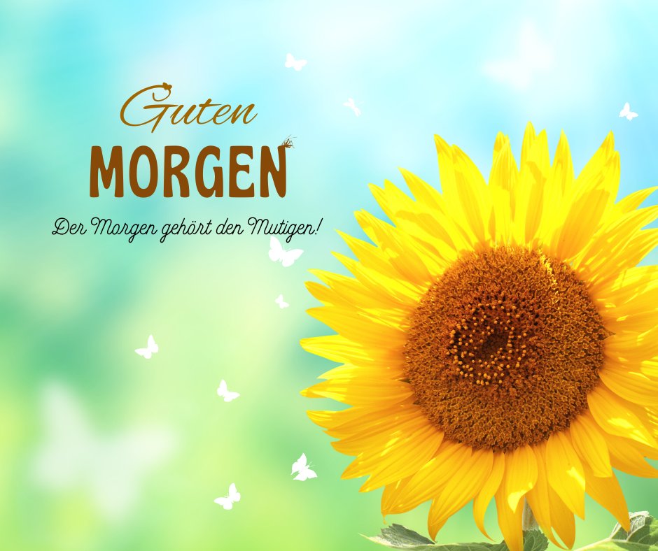 Einen Schönen Guten Morgen Bilder mit einer strahlenden Sonnenblume vor einem weichen, himmelblauen Hintergrund mit weißen Schmetterlingen und einem motivierenden Morgengruß, ideal für einen erfrischenden Start in den Tag.