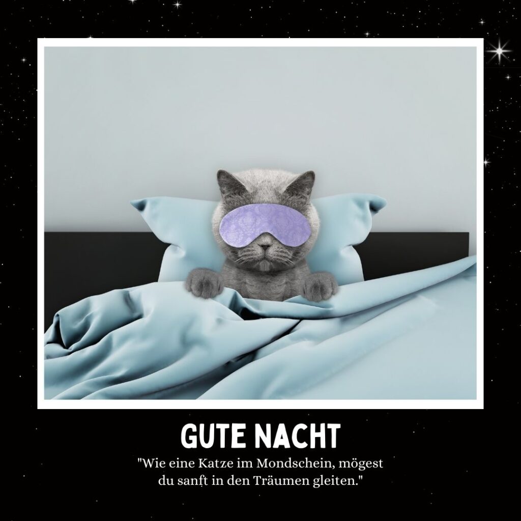 75+ Gute Nacht Bilder Katzen Miau sagt 