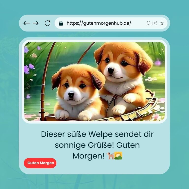 100+ Guten Hund Die besten Bilder zum Teilen