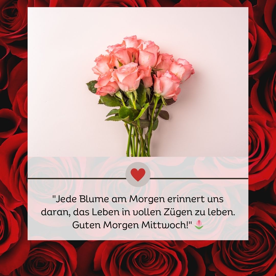 Guten Morgen Mittwoch Blumen: 100+ Bezaubernde Grüße 5 Guten Morgen Mittwoch Blumen