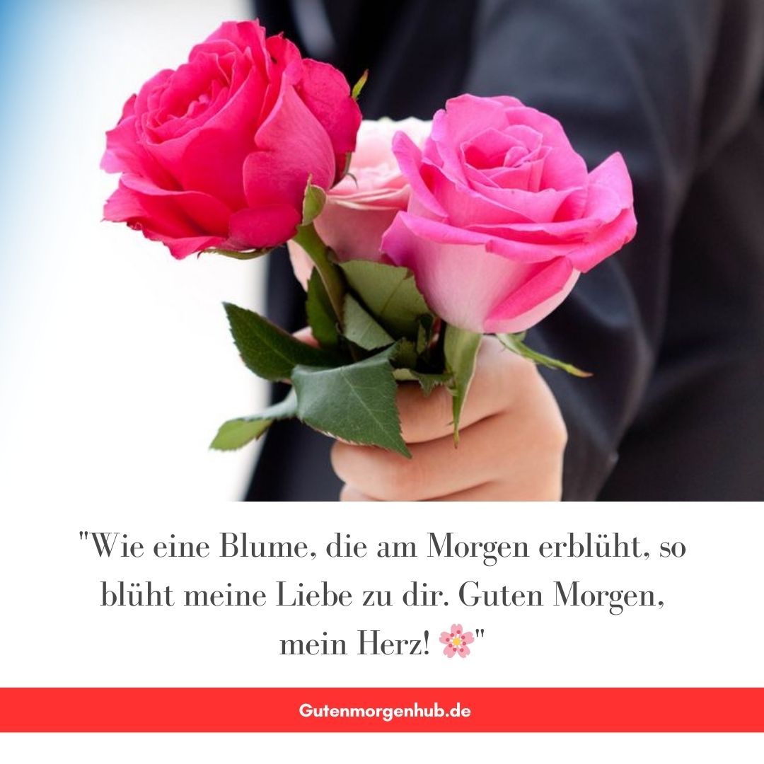 Guten Morgen Mittwoch Blumen: 100+ Bezaubernde Grüße 8 Guten Morgen Mittwoch Blumen