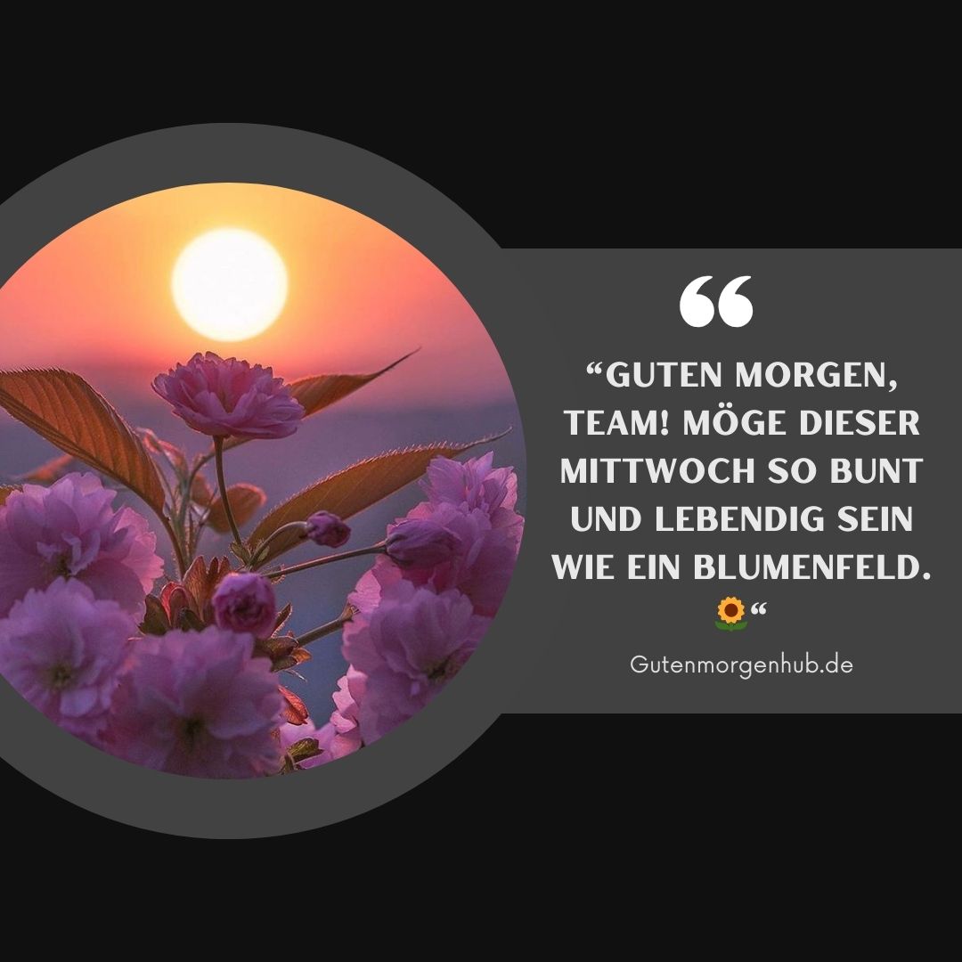 Guten Morgen Mittwoch Blumen: 100+ Bezaubernde Grüße 9 Guten Morgen Mittwoch Blumen