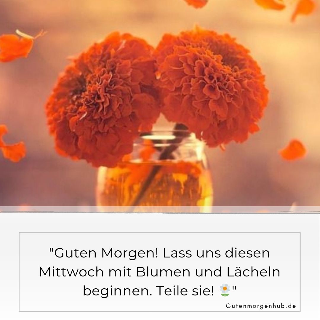 Guten Morgen Mittwoch Blumen: 100+ Bezaubernde Grüße 10 Guten Morgen Mittwoch Blumen