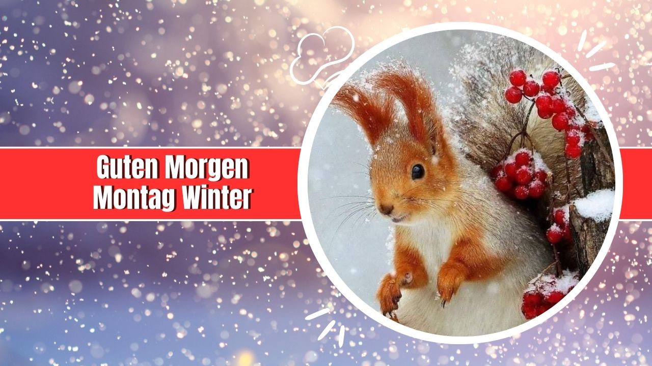 150+ Guten Montag Winter Witze, Sprüche, Grüße!