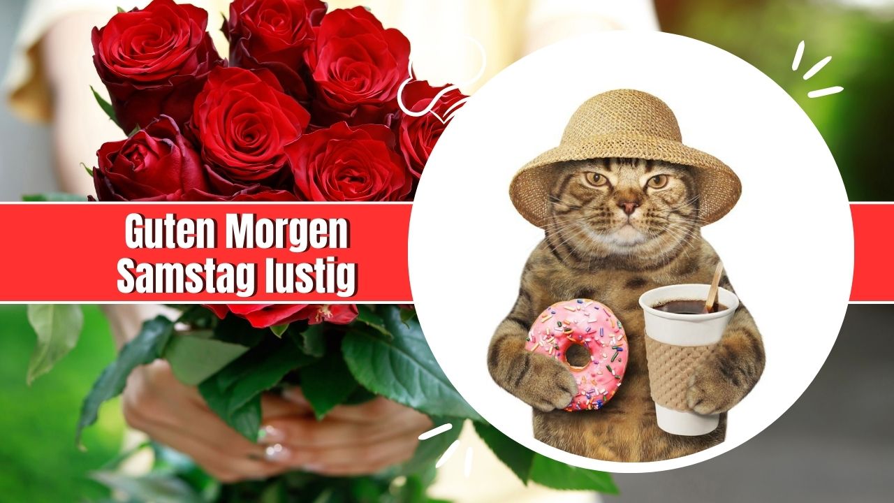 100+ Guten Morgen Samstag lustig: Grüße, Sprüche & Bilder