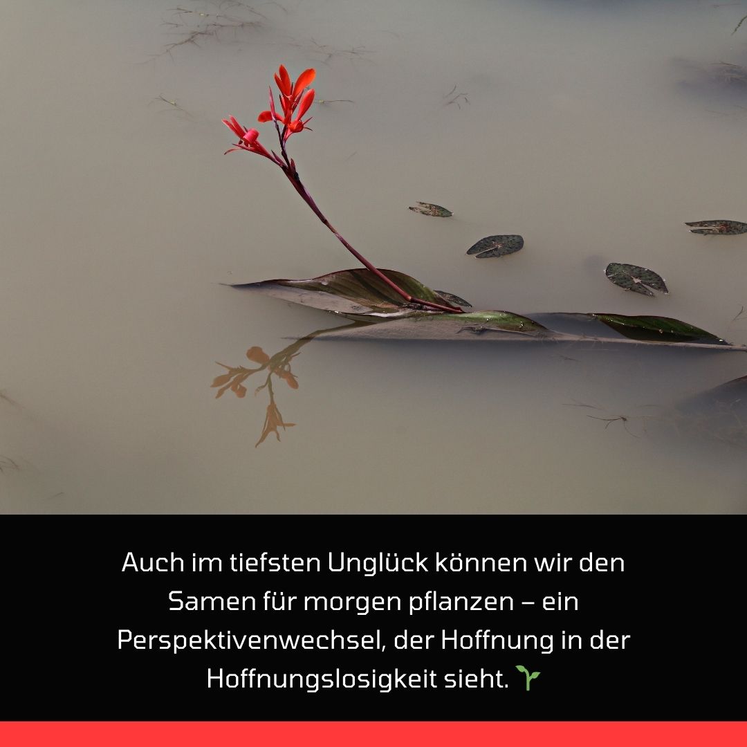 120+ Traurige Sprüche Leben: Finden Sie Trost & Hoffnung 6 Traurige Sprüche Leben