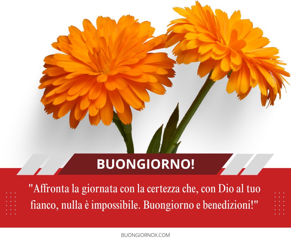 Immagini Buongiorno Religiose Gratis Per Whatsapp