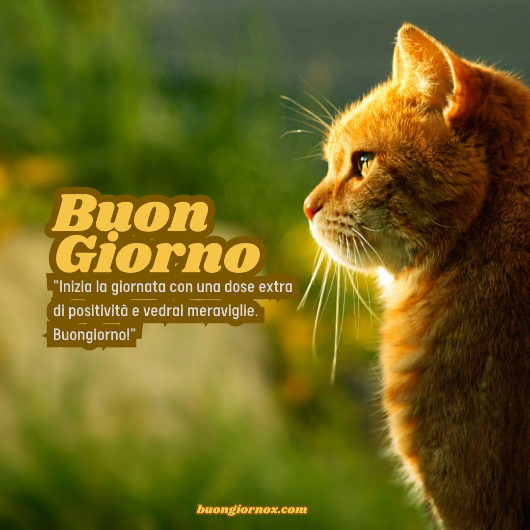 Immagini Buongiorno Simpatiche