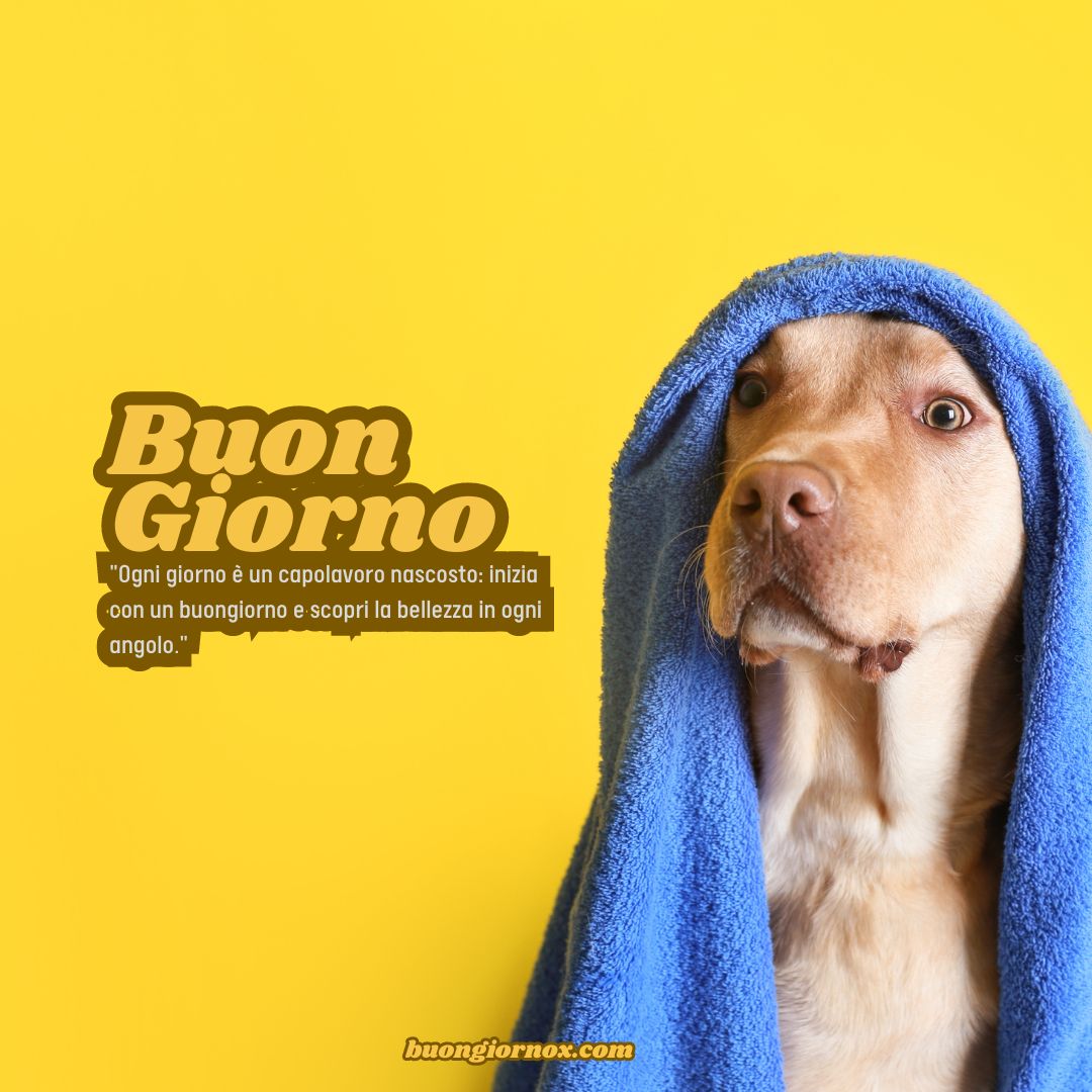 Immagini Buongiorno Simpatiche