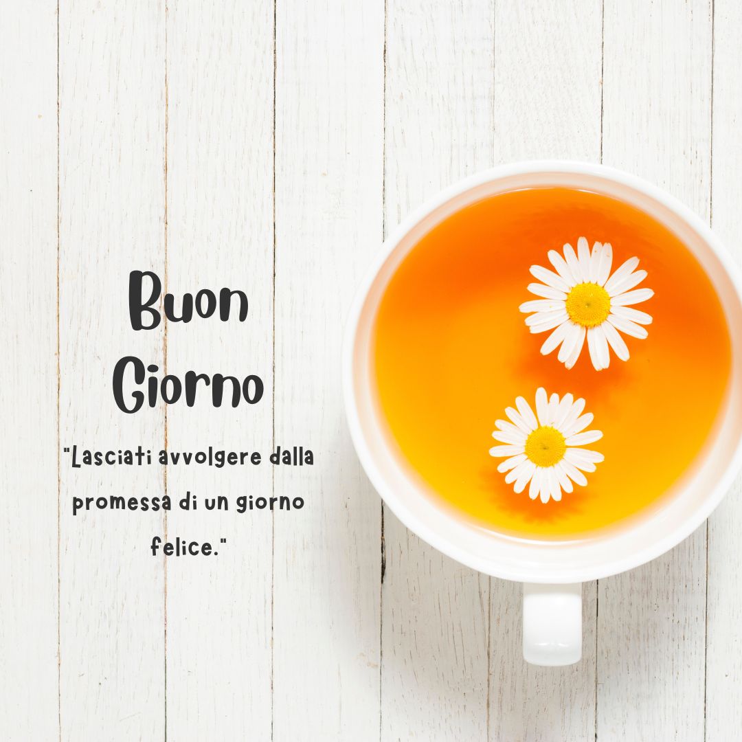 immagini buongiorno gratis per whatsapp