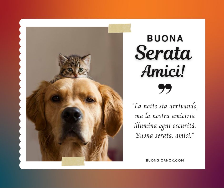 Amici, accogliamo insieme la notte che arriva