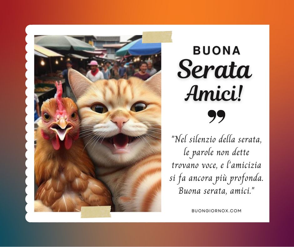 Amicizia e bellezza serale: buona serata amici