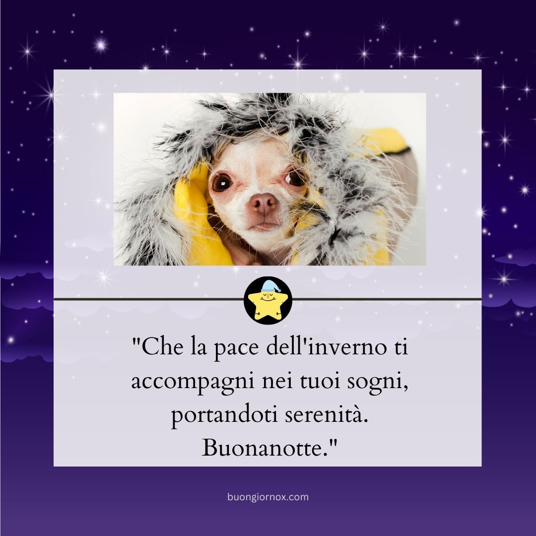 Belle immagini invernali di buonanotte
