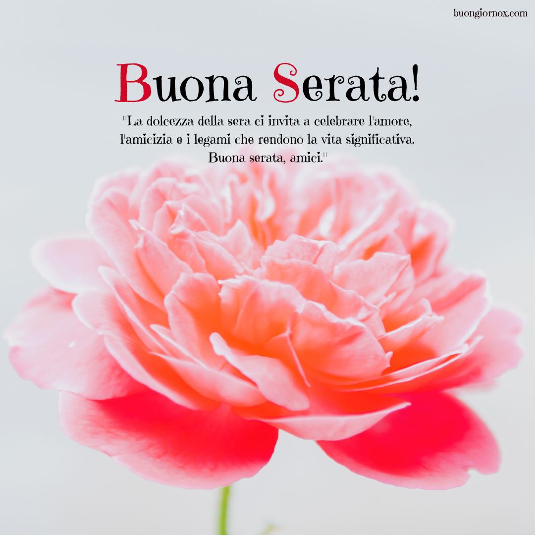 Buona serata amici, in ogni petalo e in ogni stella