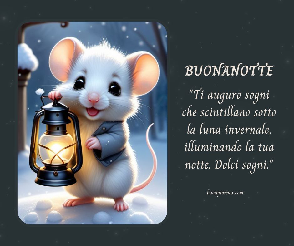 Buonanotte con immagini invernali