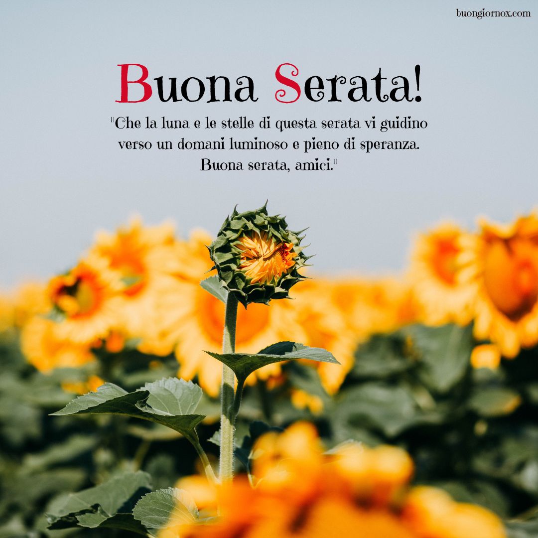 Fiori sotto il cielo serale: buona serata amici
