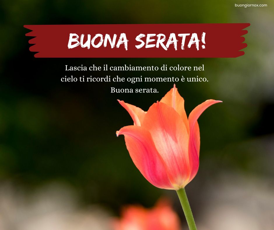Immagini Gratuite e Stupefacenti per una Buona Serata