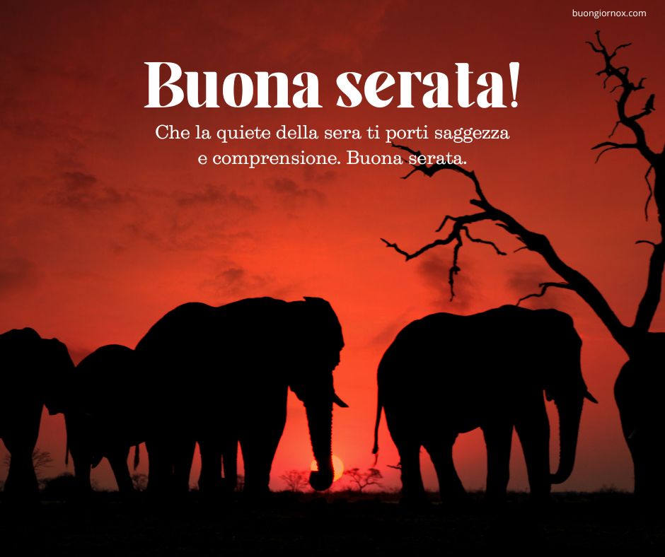 Immagini di Buona Serata 2023 Gratis e Nuove