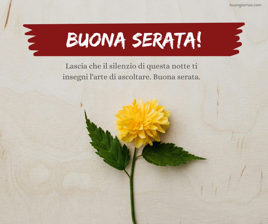 Le Più Nuove Immagini per una Serata Speciale