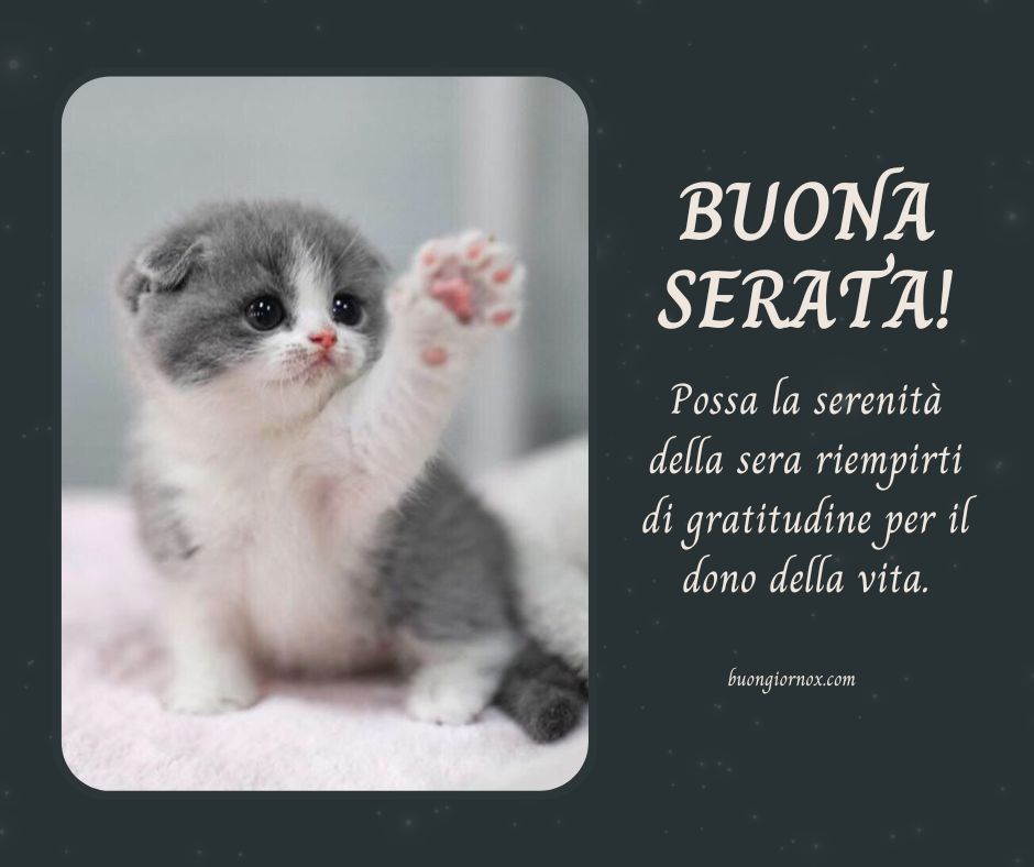 Nuove e Affascinanti Immagini per una Serata Memorabile