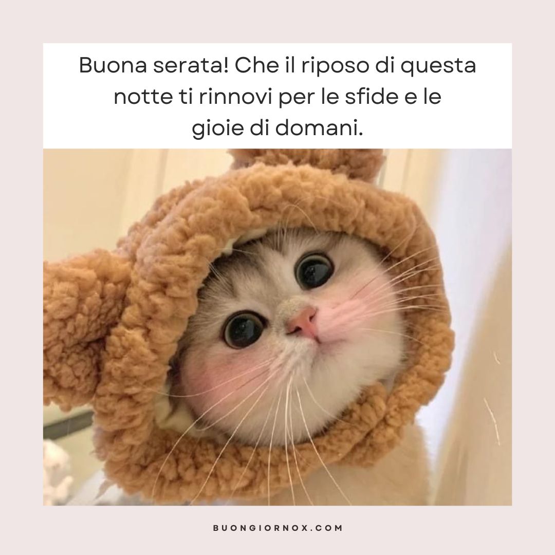 Selezione Curata di Immagini per una Serata Ideale