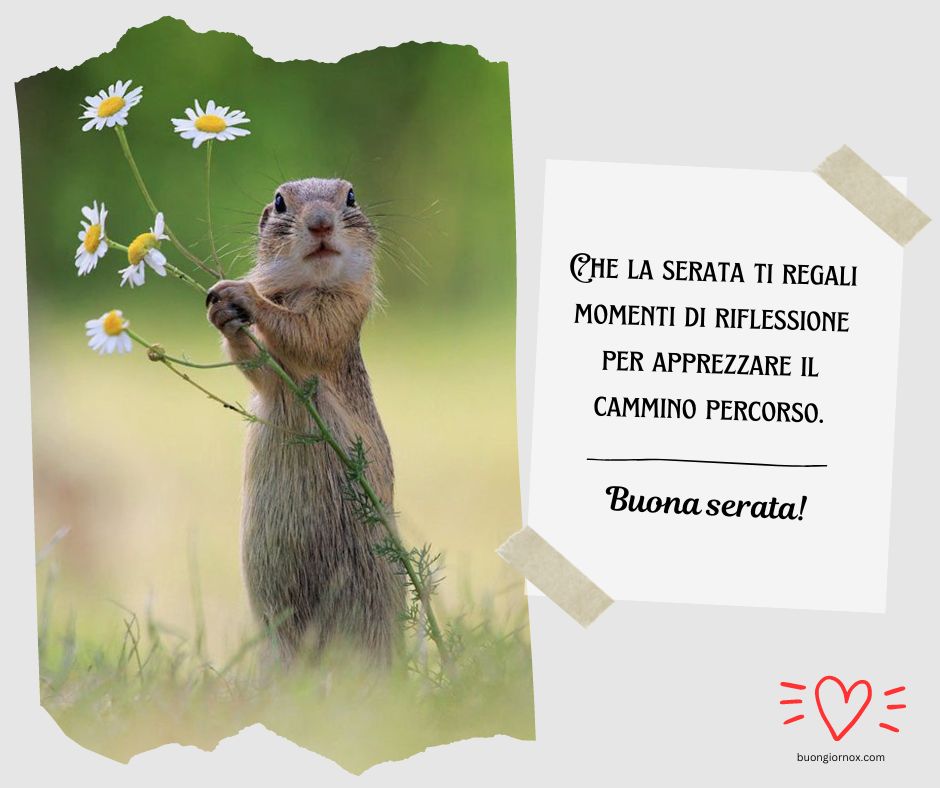 Sfoglia Immagini di Buona Serata Completamente Gratis