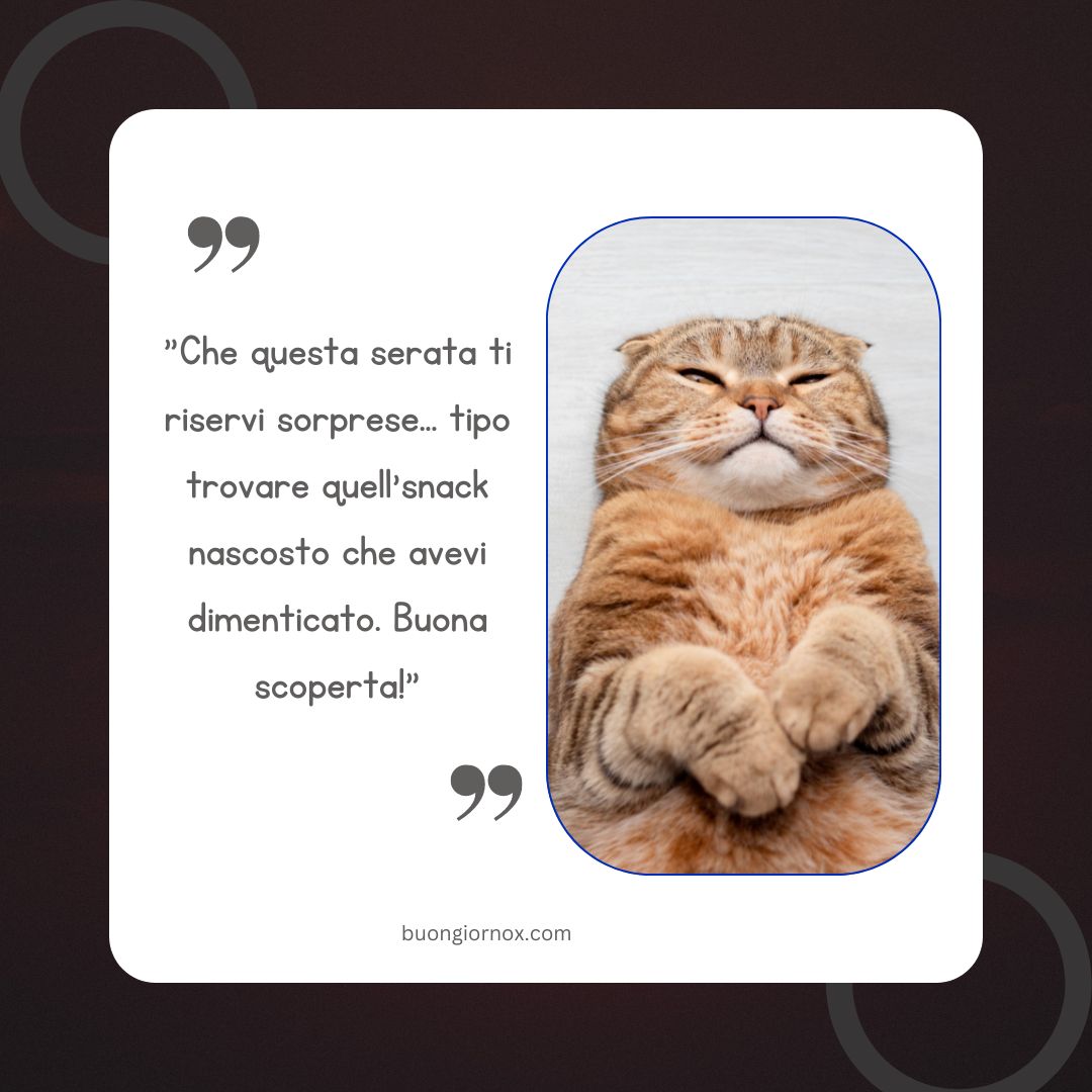 Simpatico Frasi Buona Serata Divertenti gatto