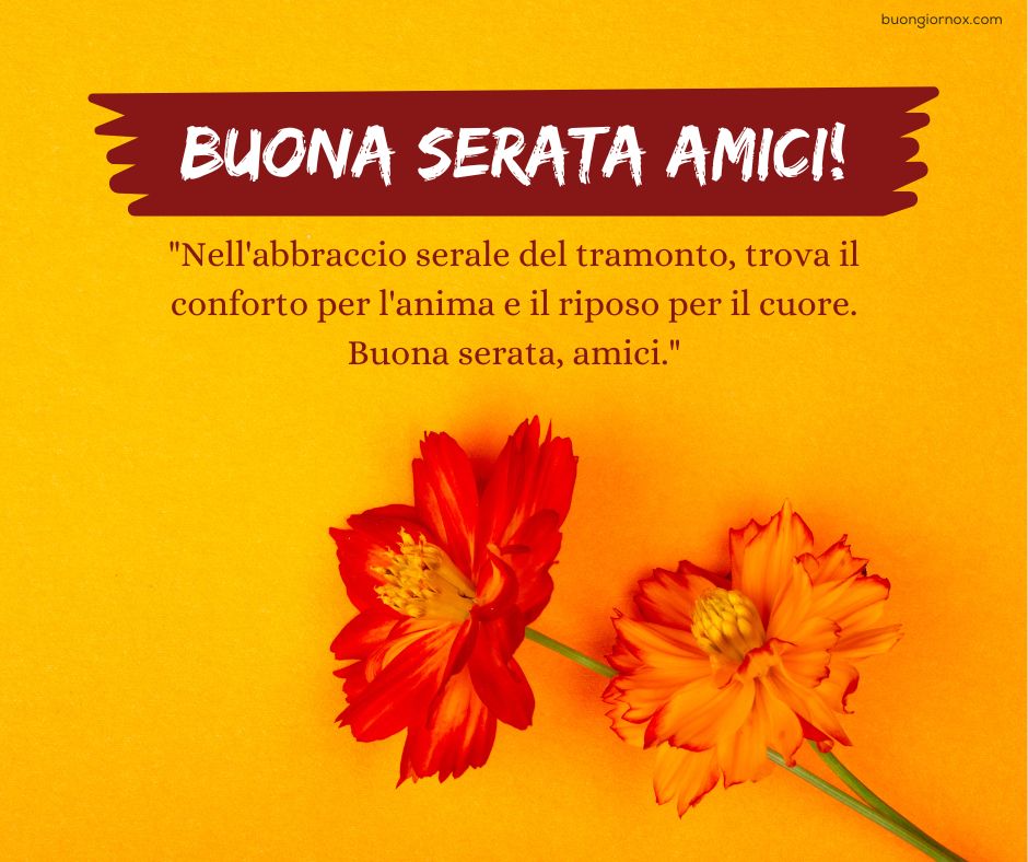 Tramonti e fiori per augurare buona serata amici miei
