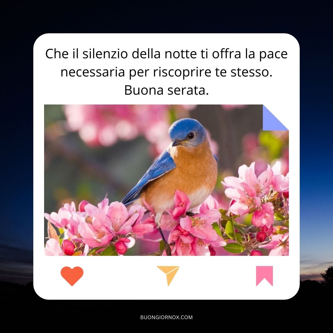 WhatsApp: Condividi Immagini Uniche per la Serata