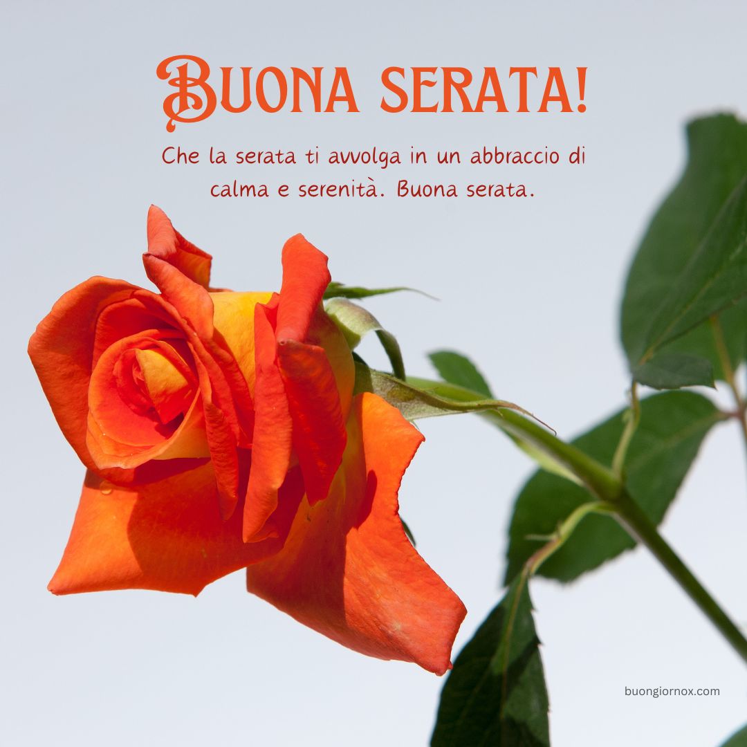 auguri buona serata immagini
