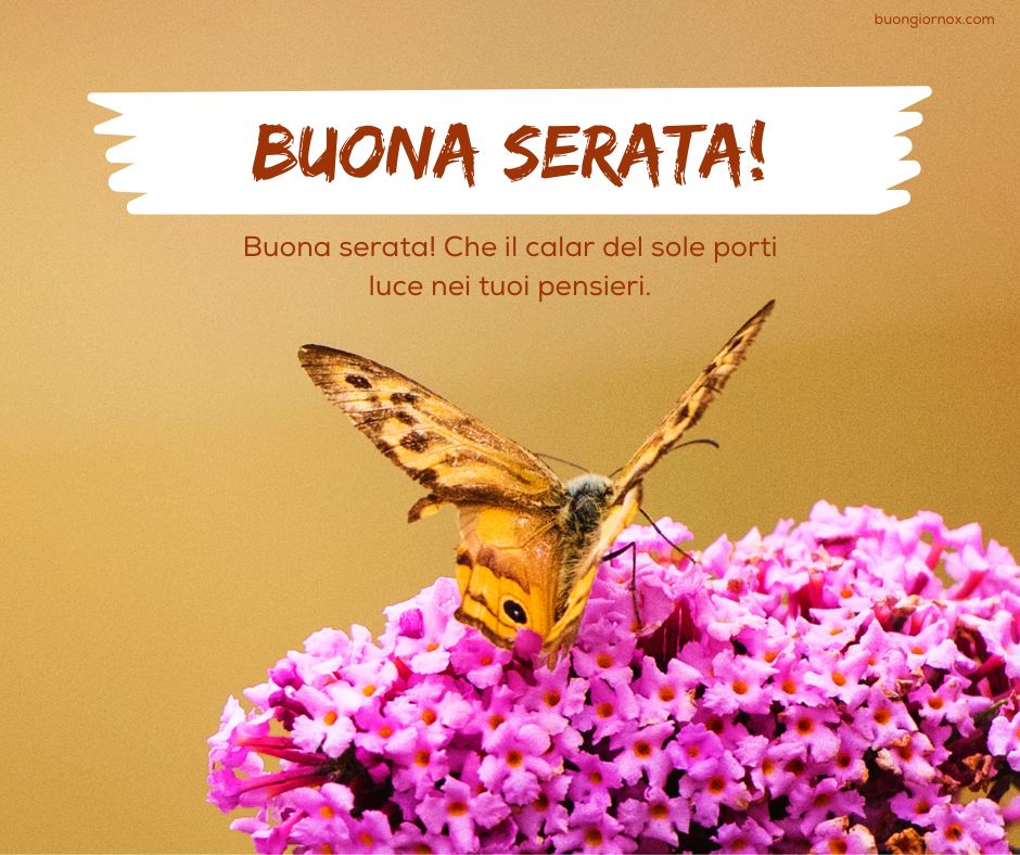 bellissime buona serata immagini nuove
