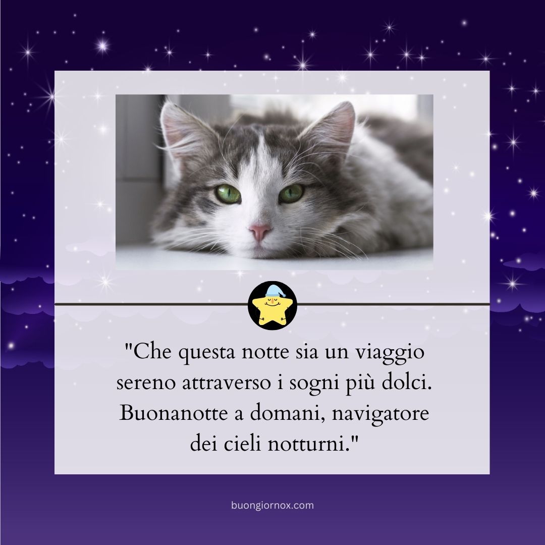 bellissime immagini buonanotte a domani