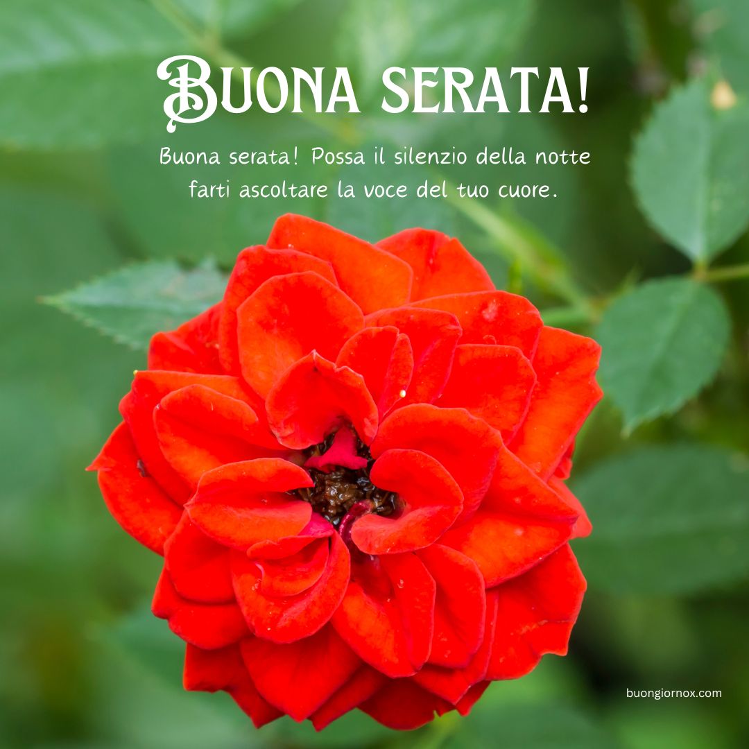 buona serata immagini 2022