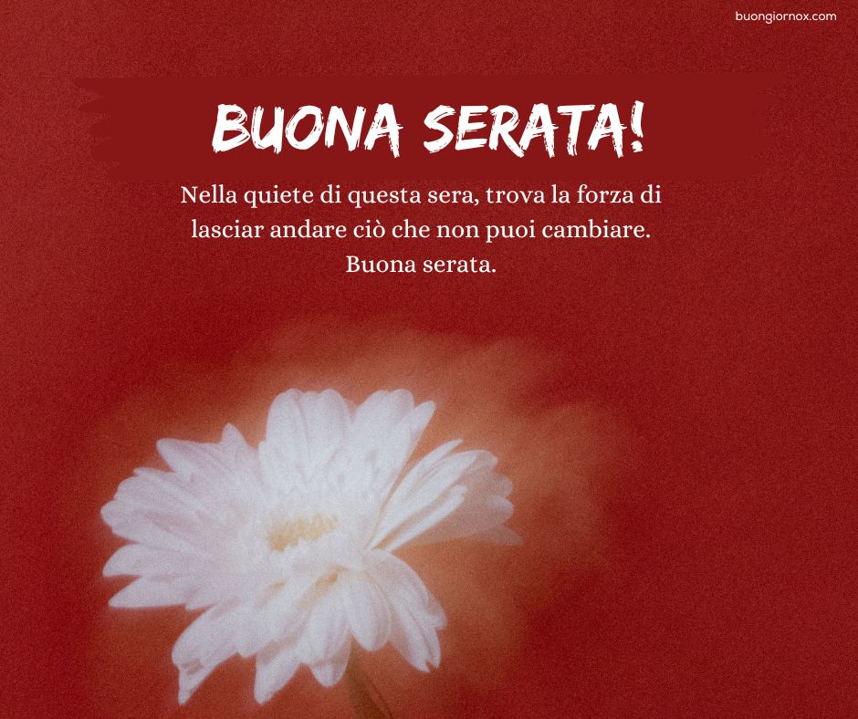buona serata immagini bellissime pinterest