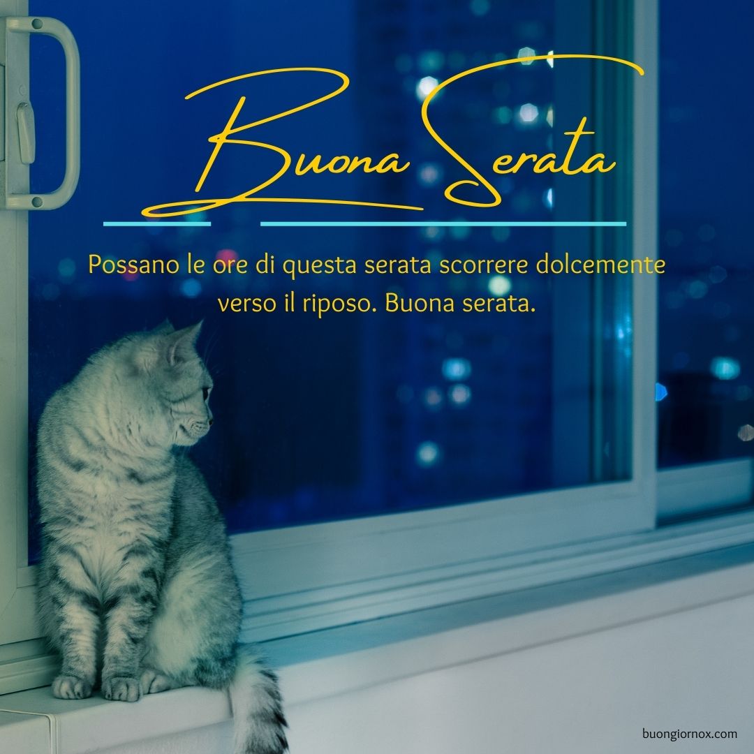 buona serata immagini gratis