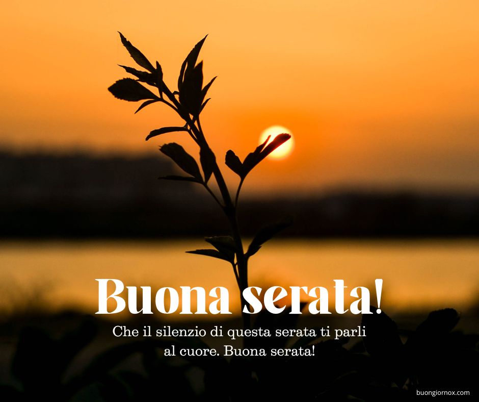 buona serata immagini nuove 2024