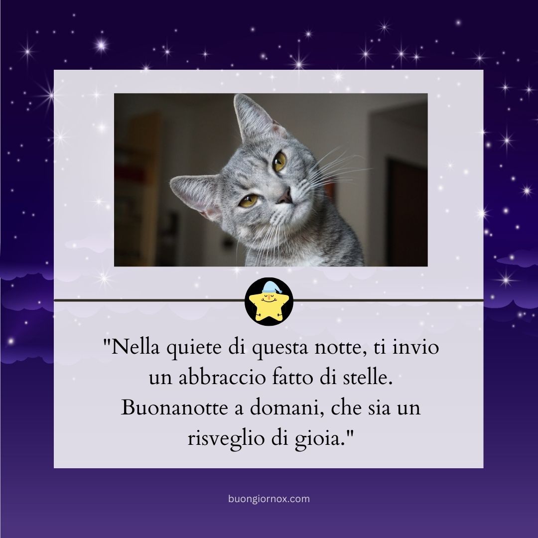 buonanotte a te a domani immagini