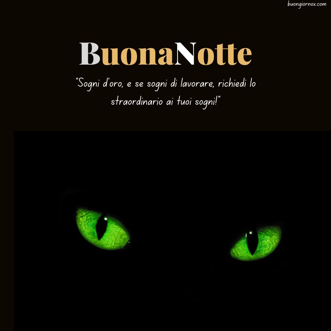 buonanotte e buon riposo immagini divertenti