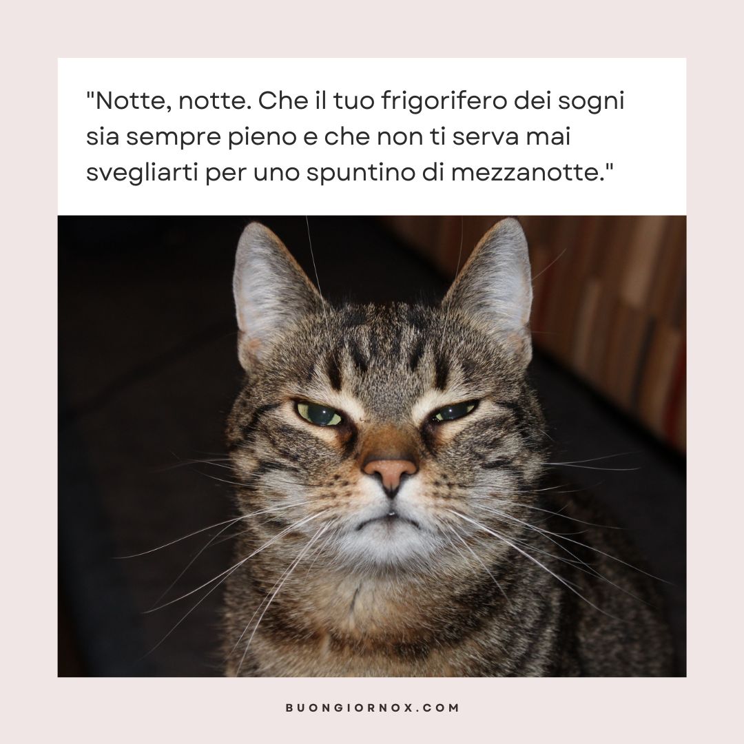 buonanotte frasi e immagini nuove divertenti