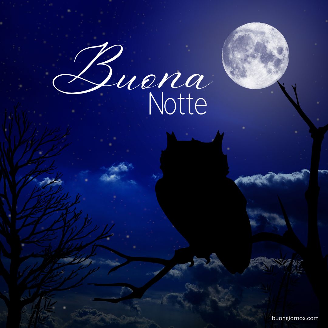 buonanotte immagini buonanotte