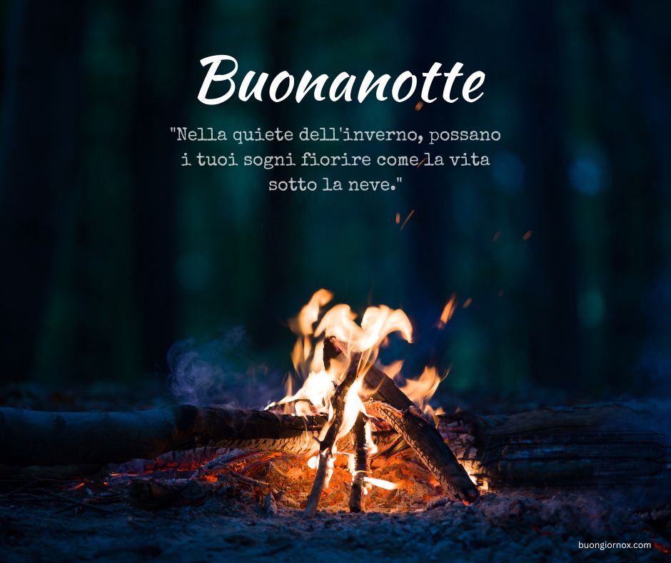 buonanotte sogni d'oro immagini invernali