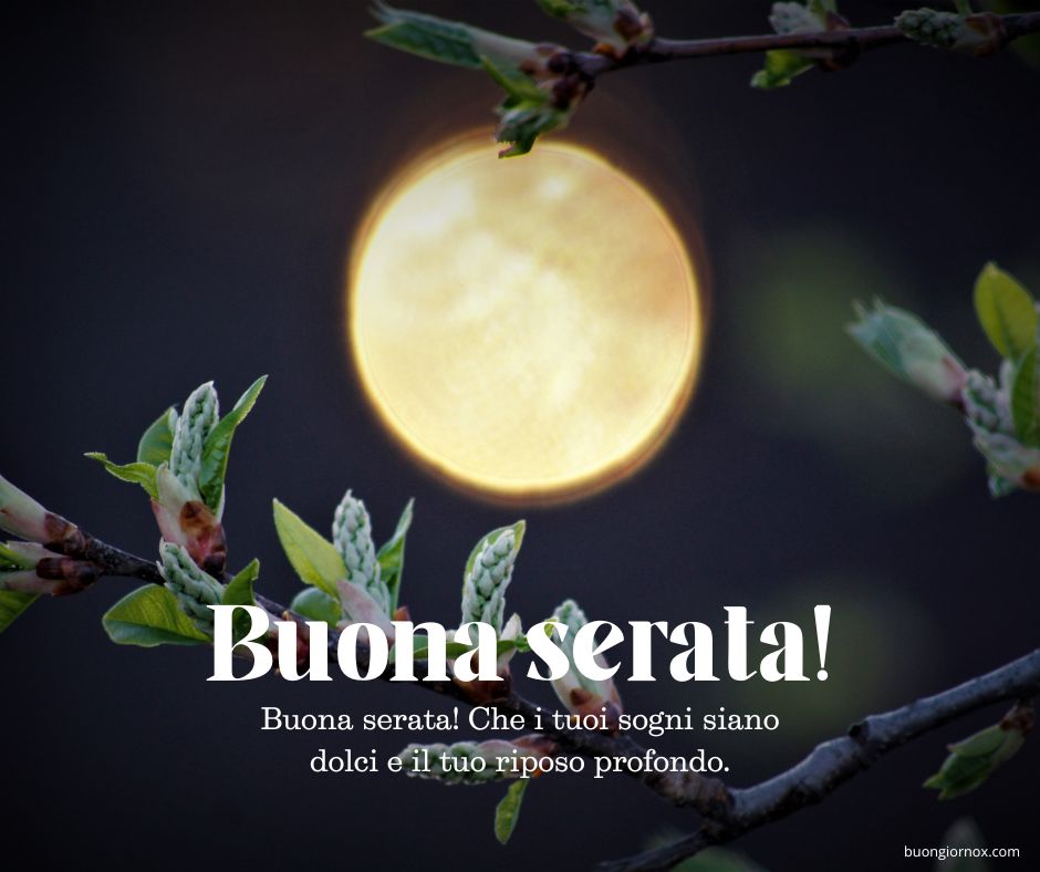 buonaserata o buona serata immagini