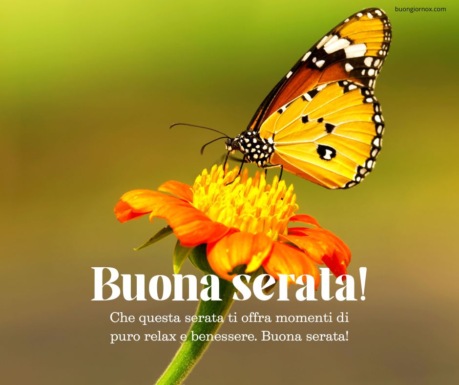 ciao buona serata immagini